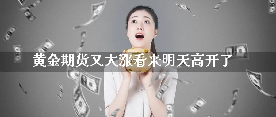 黄金期货又大涨看来明天高开了
