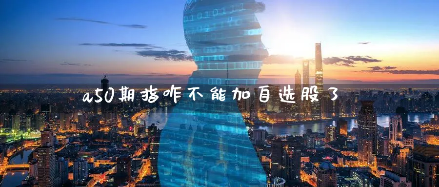 a50期指咋不能加自选股了