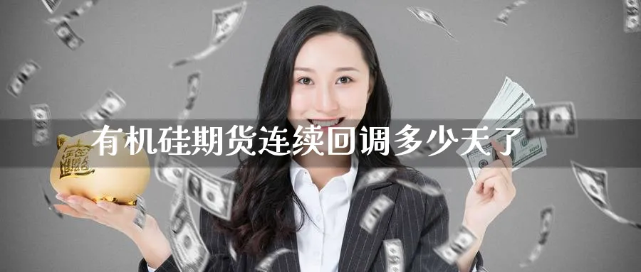 有机硅期货连续回调多少天了