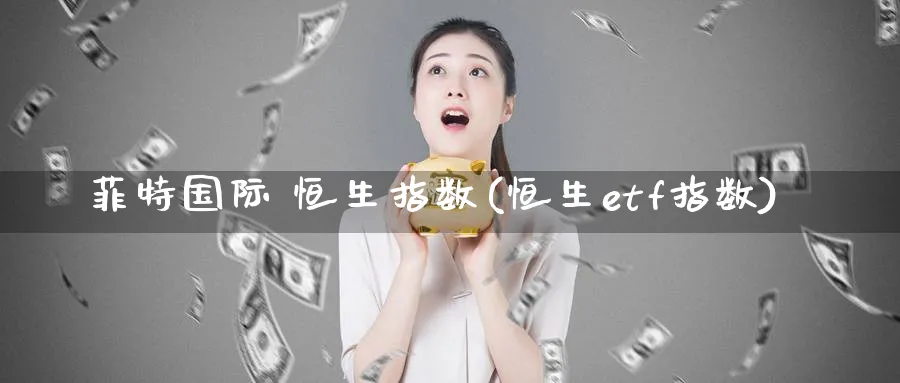 菲特国际 恒生指数(恒生etf指数)