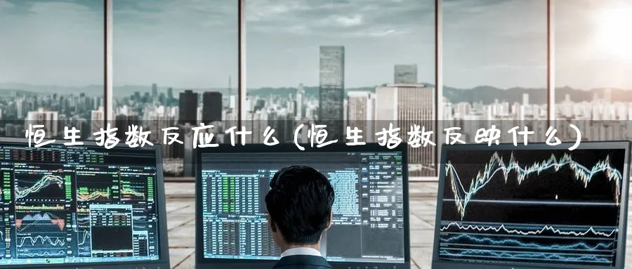 恒生指数反应什么(恒生指数反映什么)