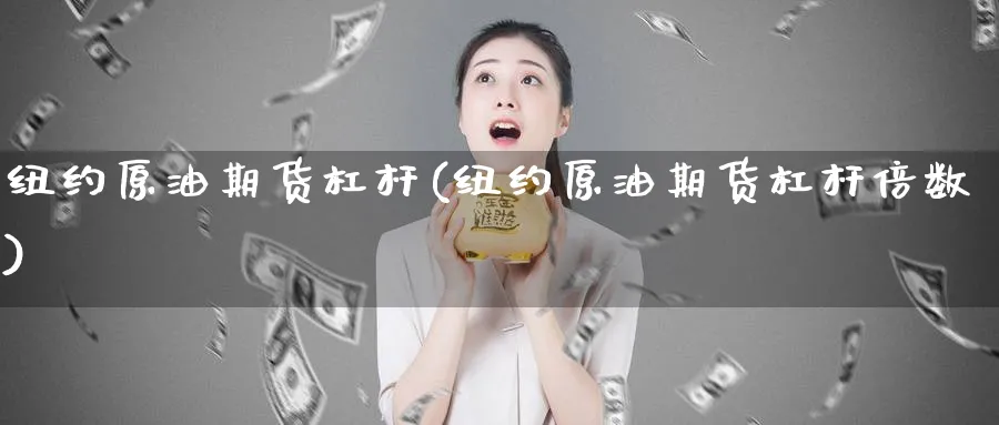 纽约原油期货杠杆(纽约原油期货杠杆倍数)