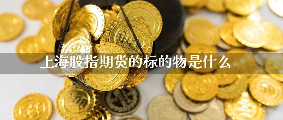 上海股指期货的标的物是什么