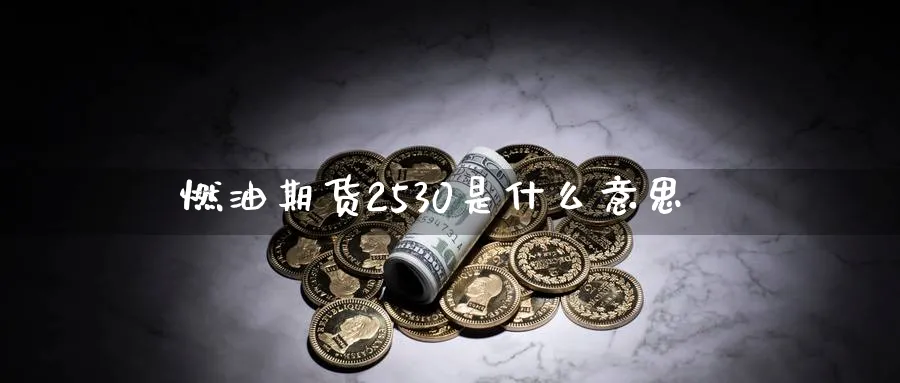 燃油期货2530是什么意思