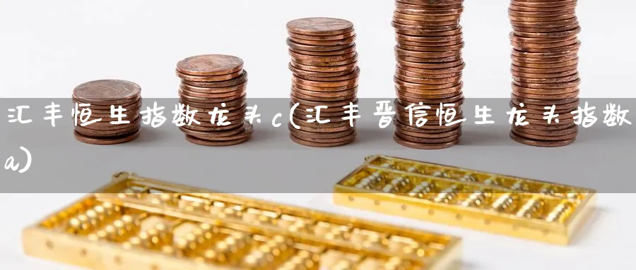 汇丰恒生指数龙头c(汇丰晋信恒生龙头指数a)