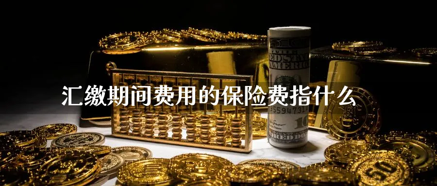 汇缴期间费用的保险费指什么