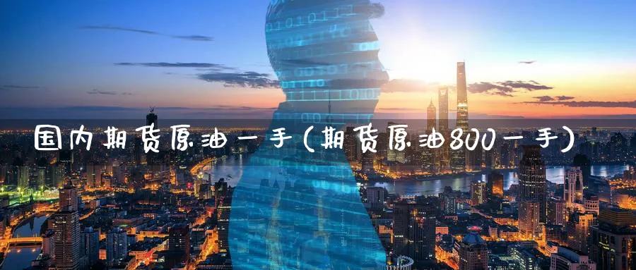 国内期货原油一手(期货原油800一手)