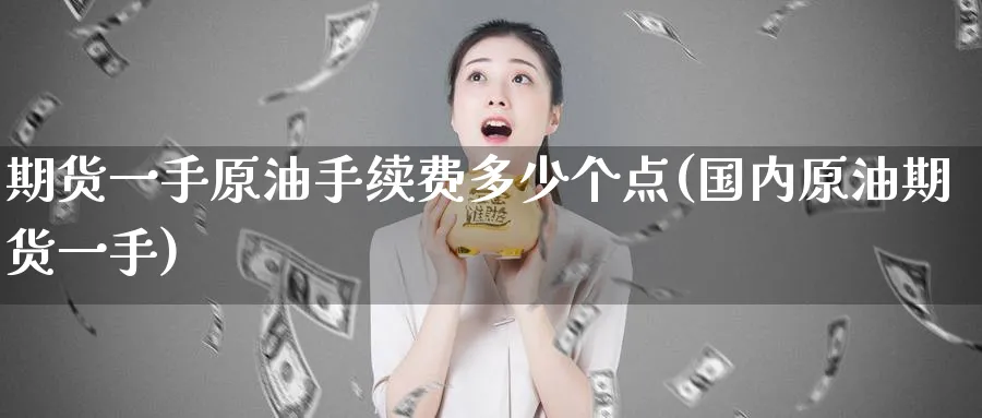 期货一手原油手续费多少个点(国内原油期货一手)