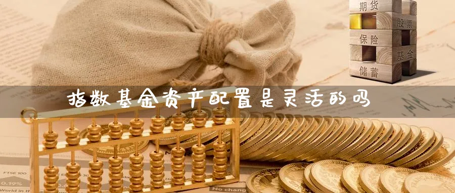 指数基金资产配置是灵活的吗