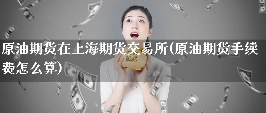 原油期货在上海期货交易所(原油期货手续费怎么算)