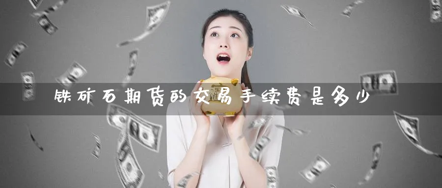 铁矿石期货的交易手续费是多少