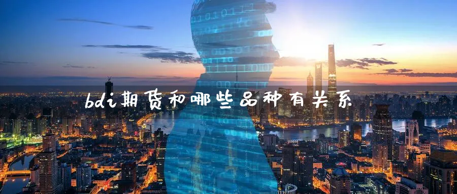 bdi期货和哪些品种有关系