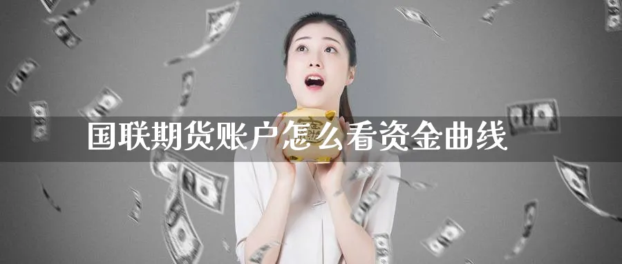 国联期货账户怎么看资金曲线