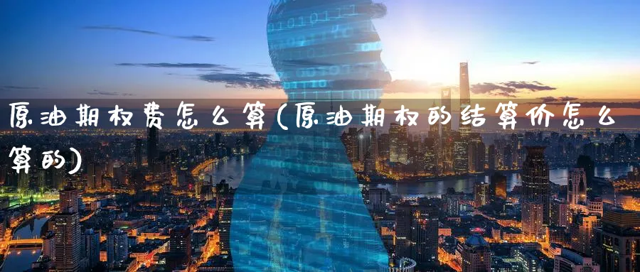 原油期权费怎么算(原油期权的结算价怎么算的)