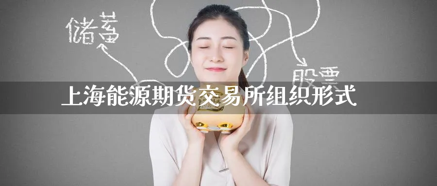 上海能源期货交易所组织形式