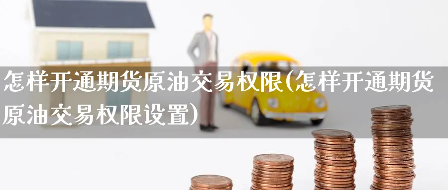 怎样开通期货原油交易权限(怎样开通期货原油交易权限设置)