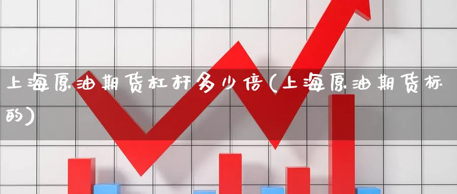 上海原油期货杠杆多少倍(上海原油期货标的)