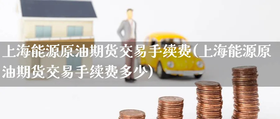 上海能源原油期货交易手续费(上海能源原油期货交易手续费多少)