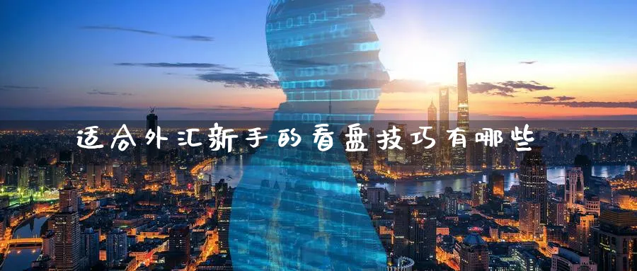 适合外汇新手的看盘技巧有哪些