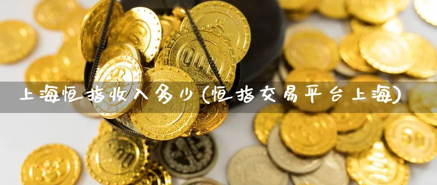 上海恒指收入多少(恒指交易平台上海)