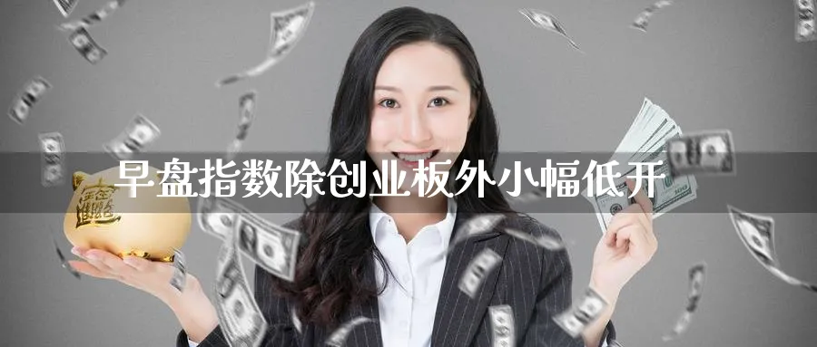 早盘指数除创业板外小幅低开