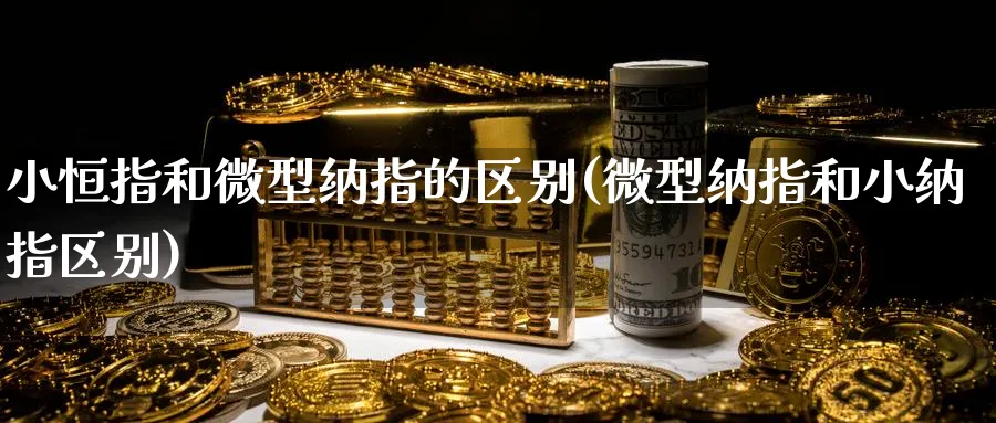 小恒指和微型纳指的区别(微型纳指和小纳指区别)