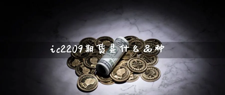 ic2209期货是什么品种