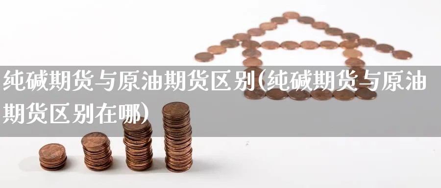 纯碱期货与原油期货区别(纯碱期货与原油期货区别在哪)