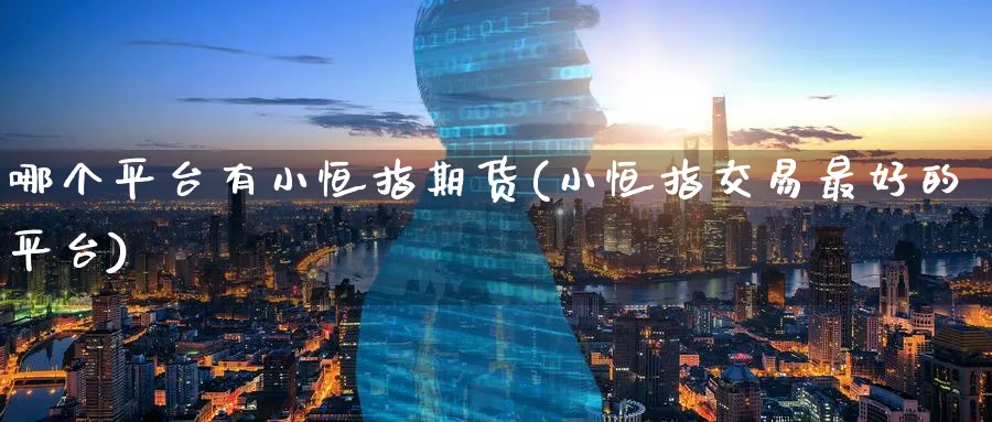 哪个平台有小恒指期货(小恒指交易最好的平台)