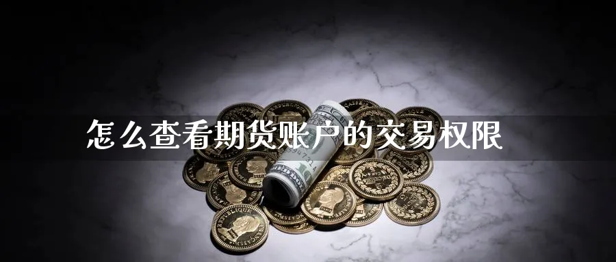 怎么查看期货账户的交易权限