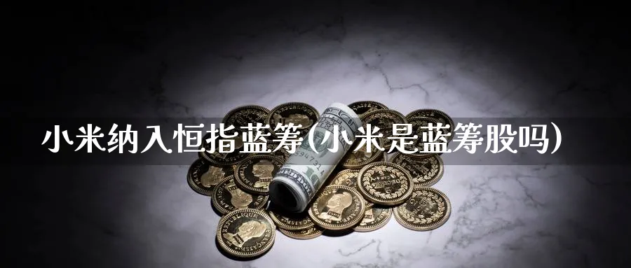 小米纳入恒指蓝筹(小米是蓝筹股吗)