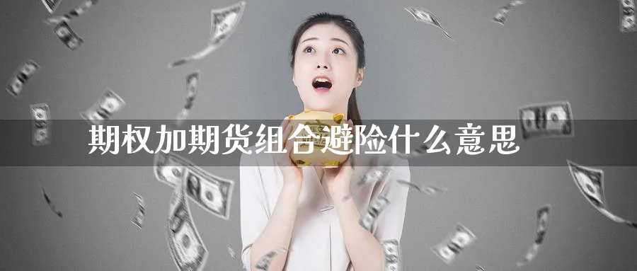 期权加期货组合避险什么意思