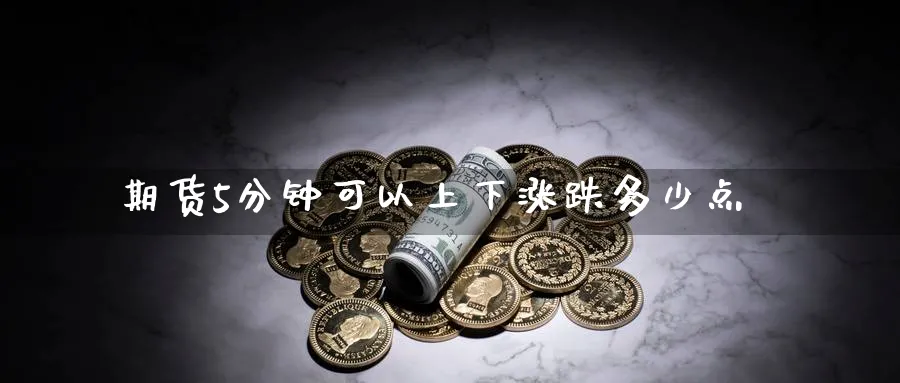 期货5分钟可以上下涨跌多少点