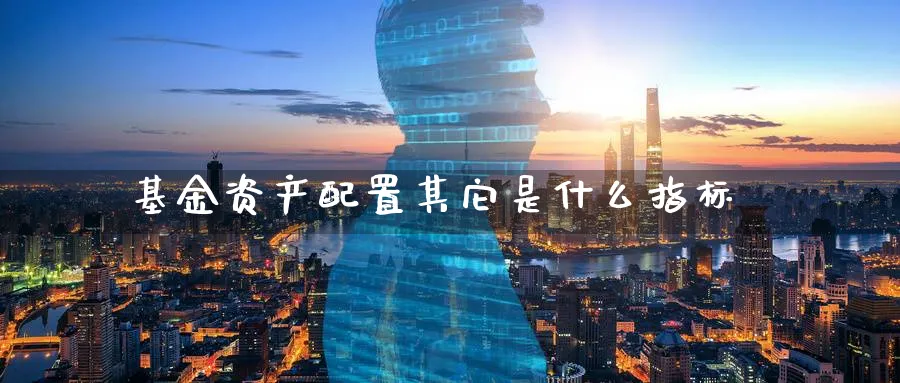 基金资产配置其它是什么指标