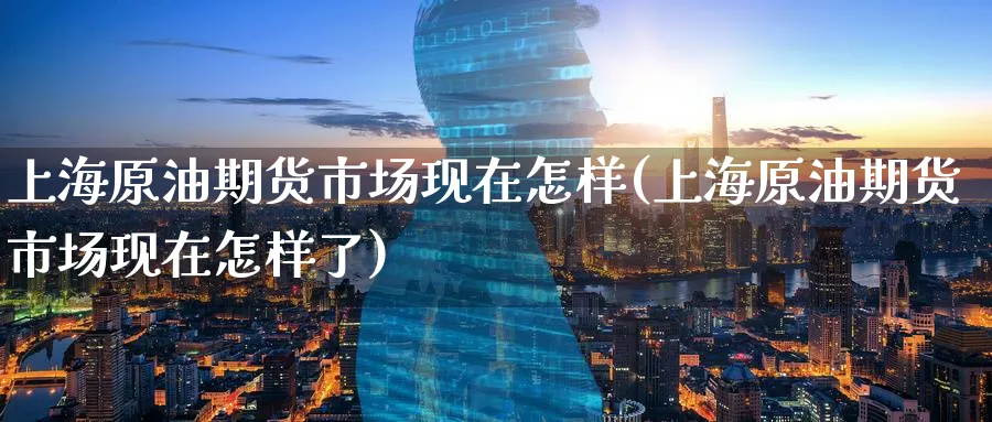 上海原油期货市场现在怎样(上海原油期货市场现在怎样了)