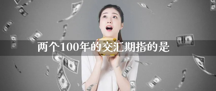 两个100年的交汇期指的是