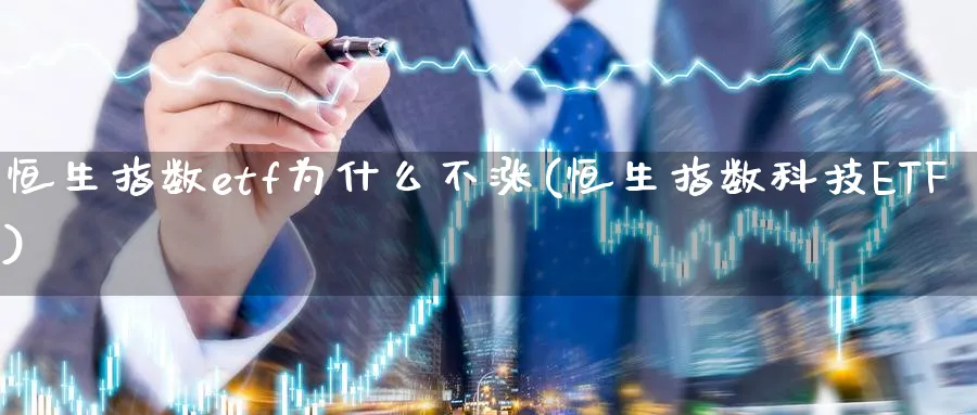 恒生指数etf为什么不涨(恒生指数科技ETF)_https://www.lytzg.com_原油期货学院_第1张