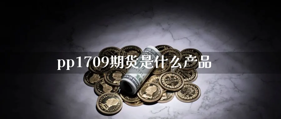 pp1709期货是什么产品