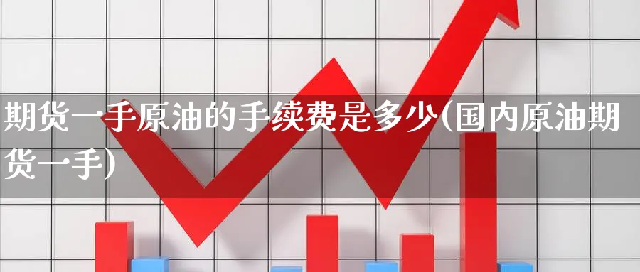 期货一手原油的手续费是多少(国内原油期货一手)