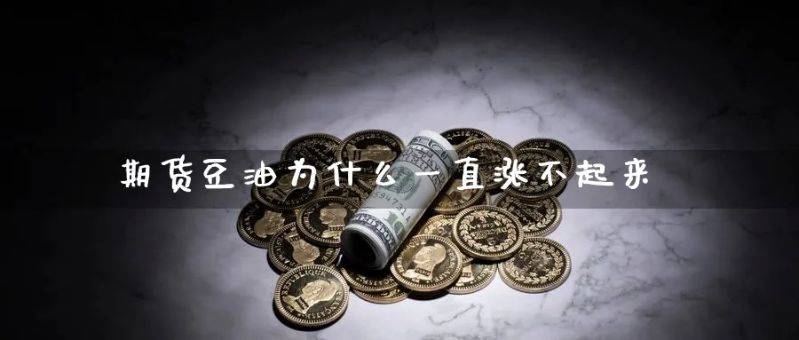 期货豆油为什么一直涨不起来
