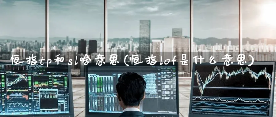 恒指tp和sl啥意思(恒指lof是什么意思)_https://www.lytzg.com_原油期货学院_第1张