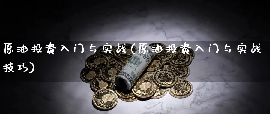 原油投资入门与实战(原油投资入门与实战技巧)