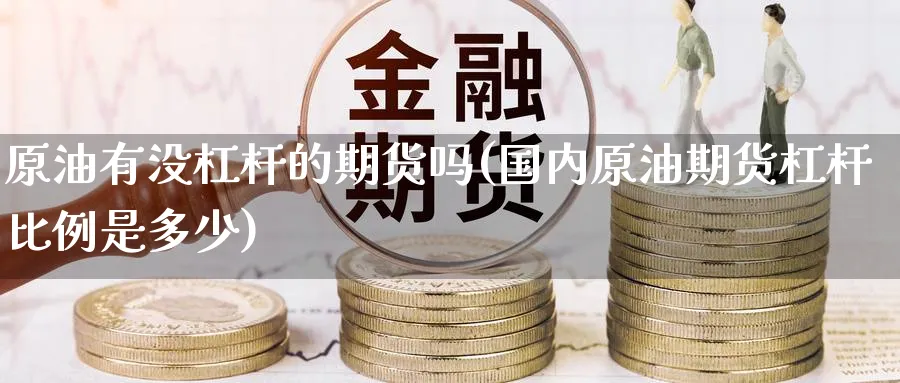 原油有没杠杆的期货吗(国内原油期货杠杆比例是多少)