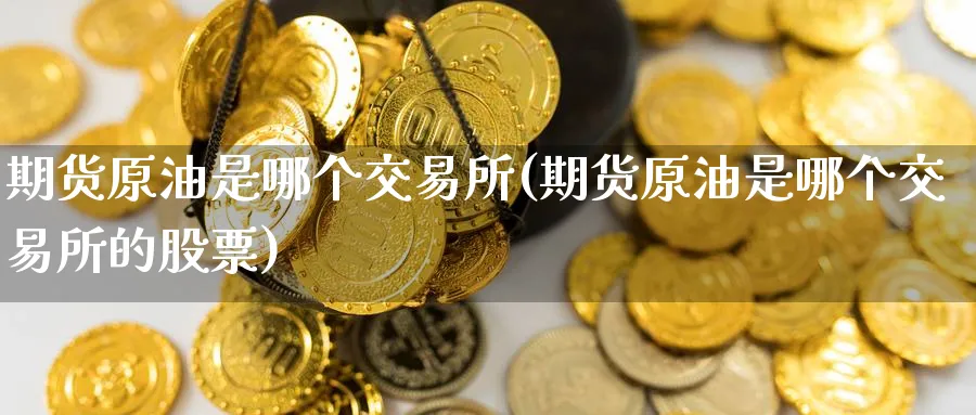 期货原油是哪个交易所(期货原油是哪个交易所的股票)