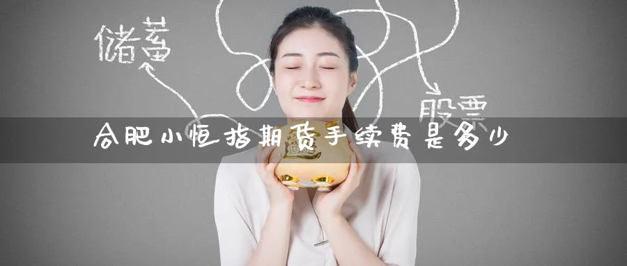 合肥小恒指期货手续费是多少
