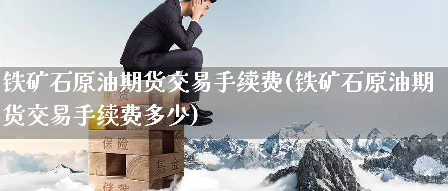 铁矿石原油期货交易手续费(铁矿石原油期货交易手续费多少)