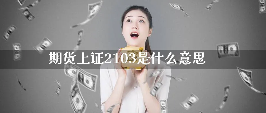 期货上证2103是什么意思