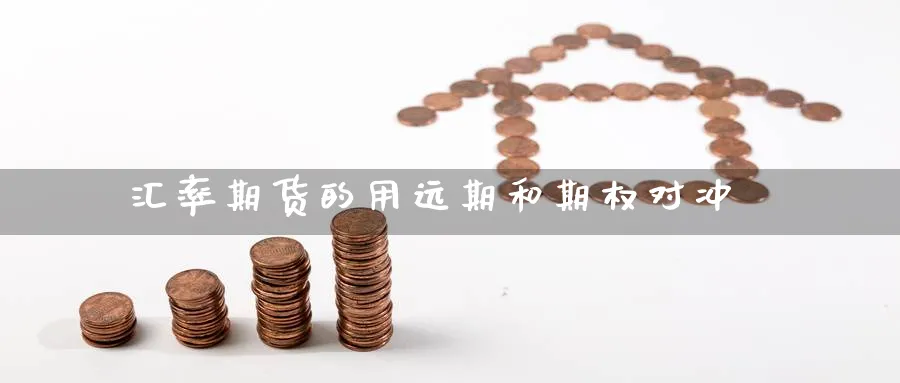 汇率期货的用远期和期权对冲
