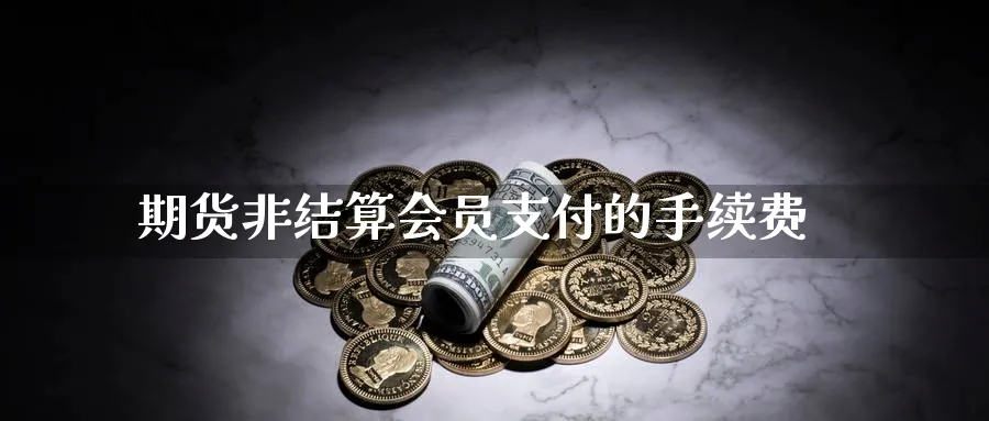 期货非结算会员支付的手续费