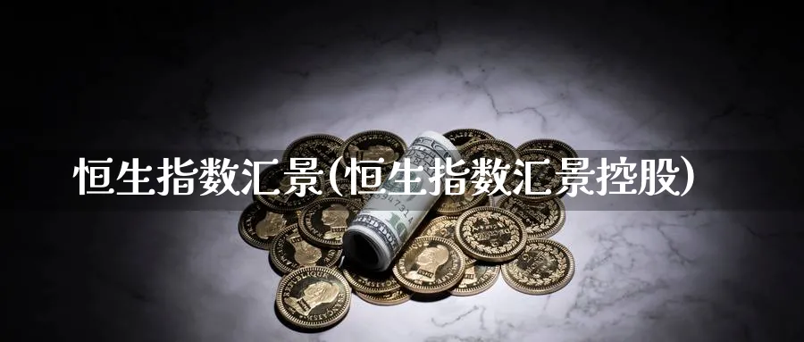 恒生指数汇景(恒生指数汇景控股)